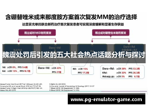 魏震处罚后引发的五大社会热点话题分析与探讨 魏震处罚后引发的五大社会热点话题分析与探讨